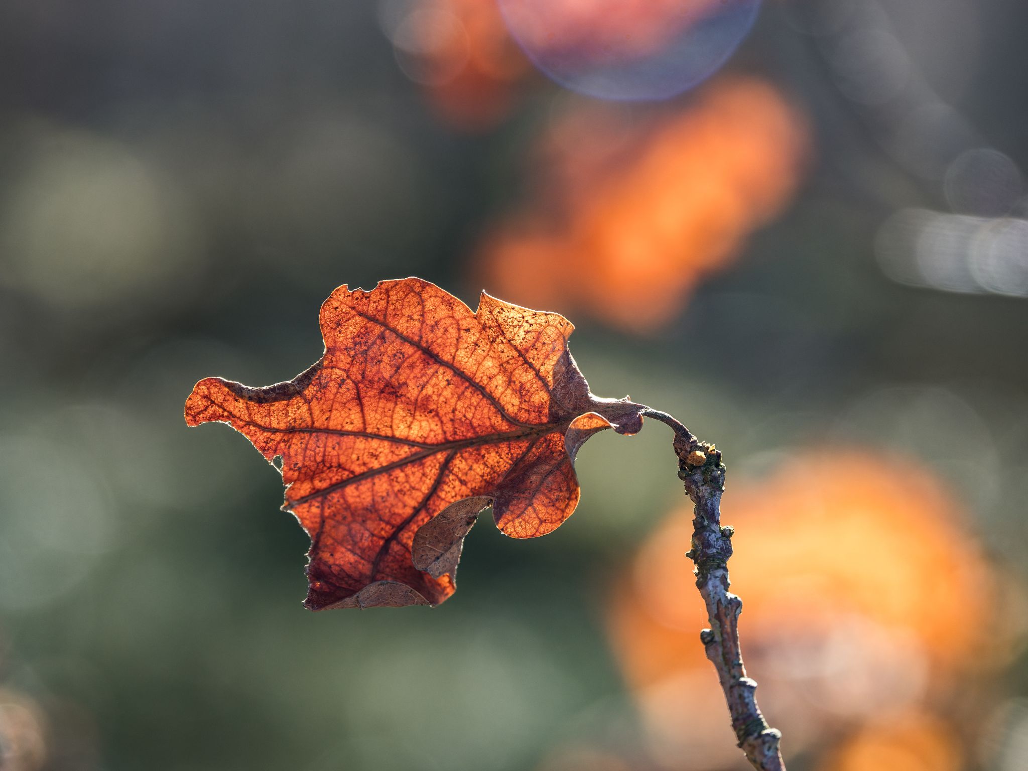 260327 1118 J  2JR1055 DxO DeepPRIME 3